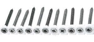 Afbeelding - https-www-ez-catalog-nl-Asset-ea4520cd234b48759b70065080edd168-ImageFullSize-813-bandschroef-platkop-verzinkt-jpg